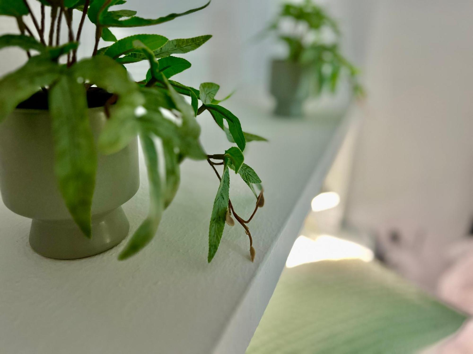 Hotel Balnea Baiona Chambre photo
